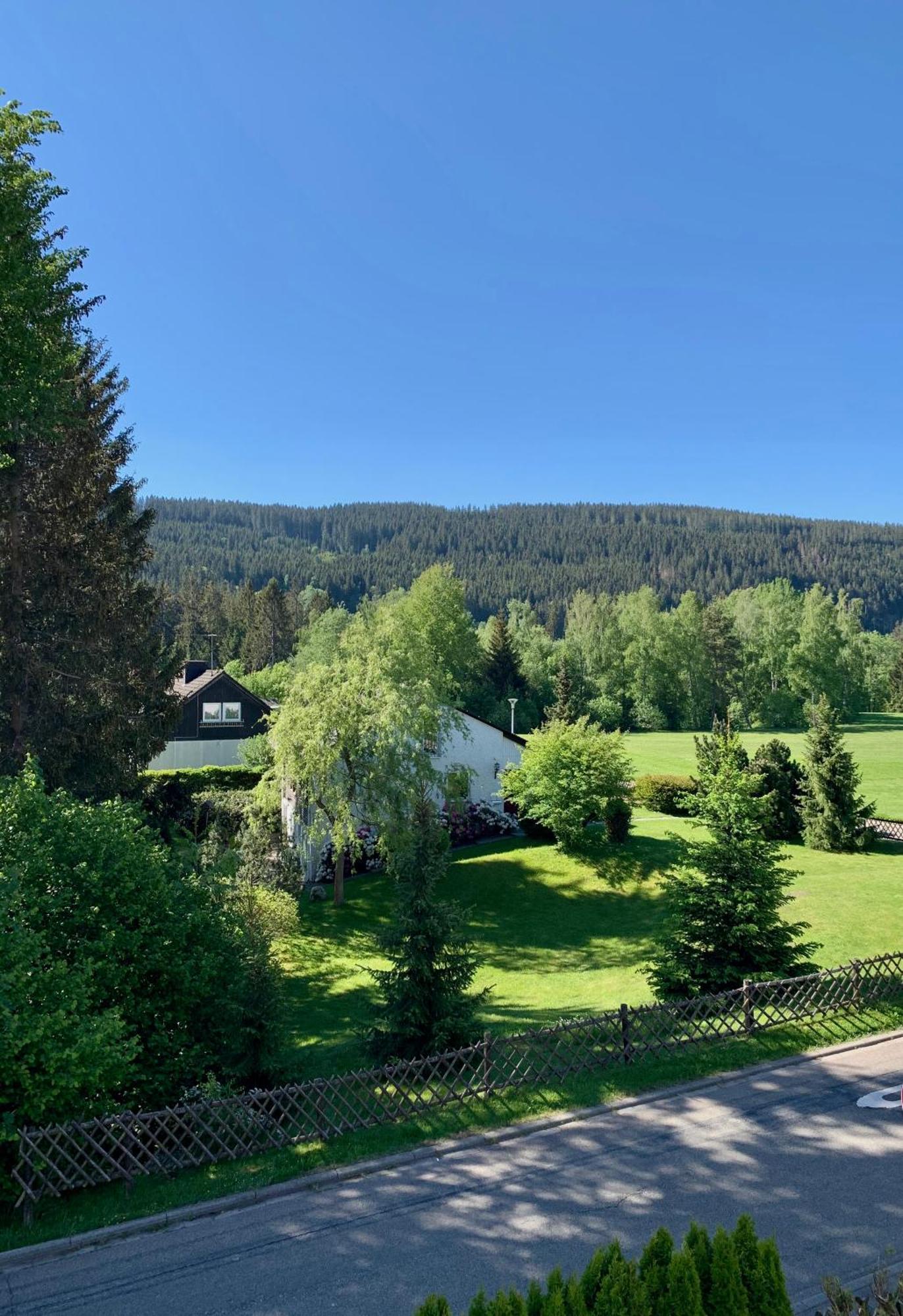Ferienwohnung Homburger - Titisee Buitenkant foto