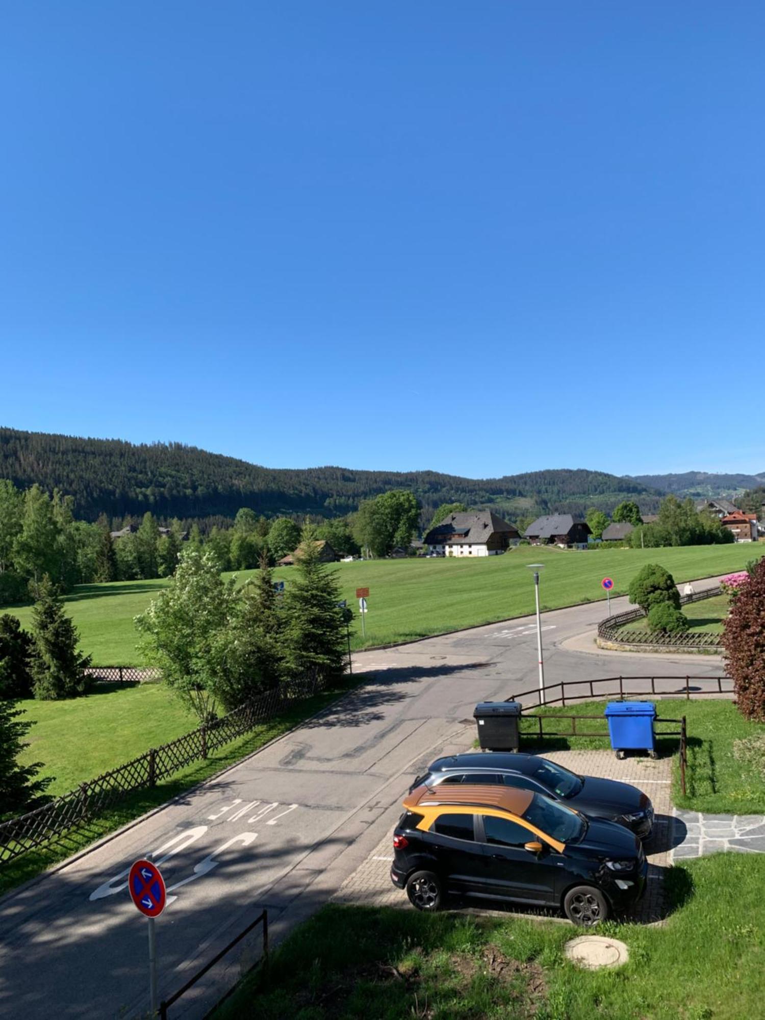 Ferienwohnung Homburger - Titisee Buitenkant foto